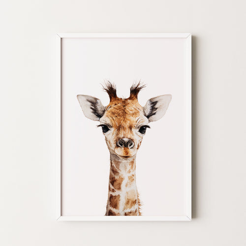 Baby Giraffe Art Print