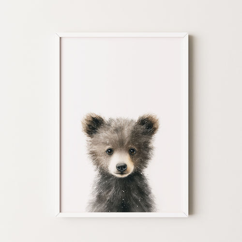 Baby Bear Art Print