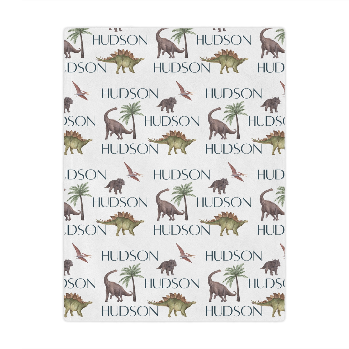 personalized dinosaur kids blanket, light weight plush, kids 50 inches x 60 inches, home decor