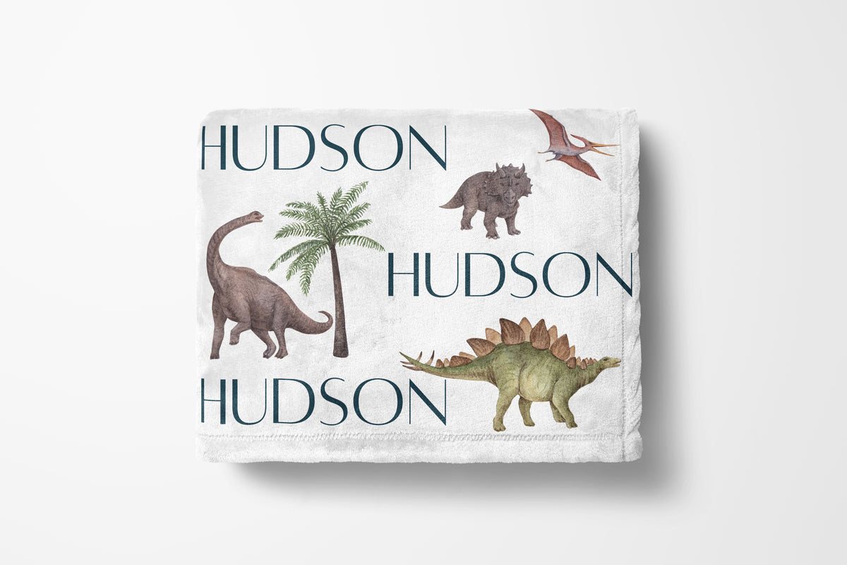 personalized dinosaur kids blanket, light weight plush, baby 30 inches x 40 inches, home decor
