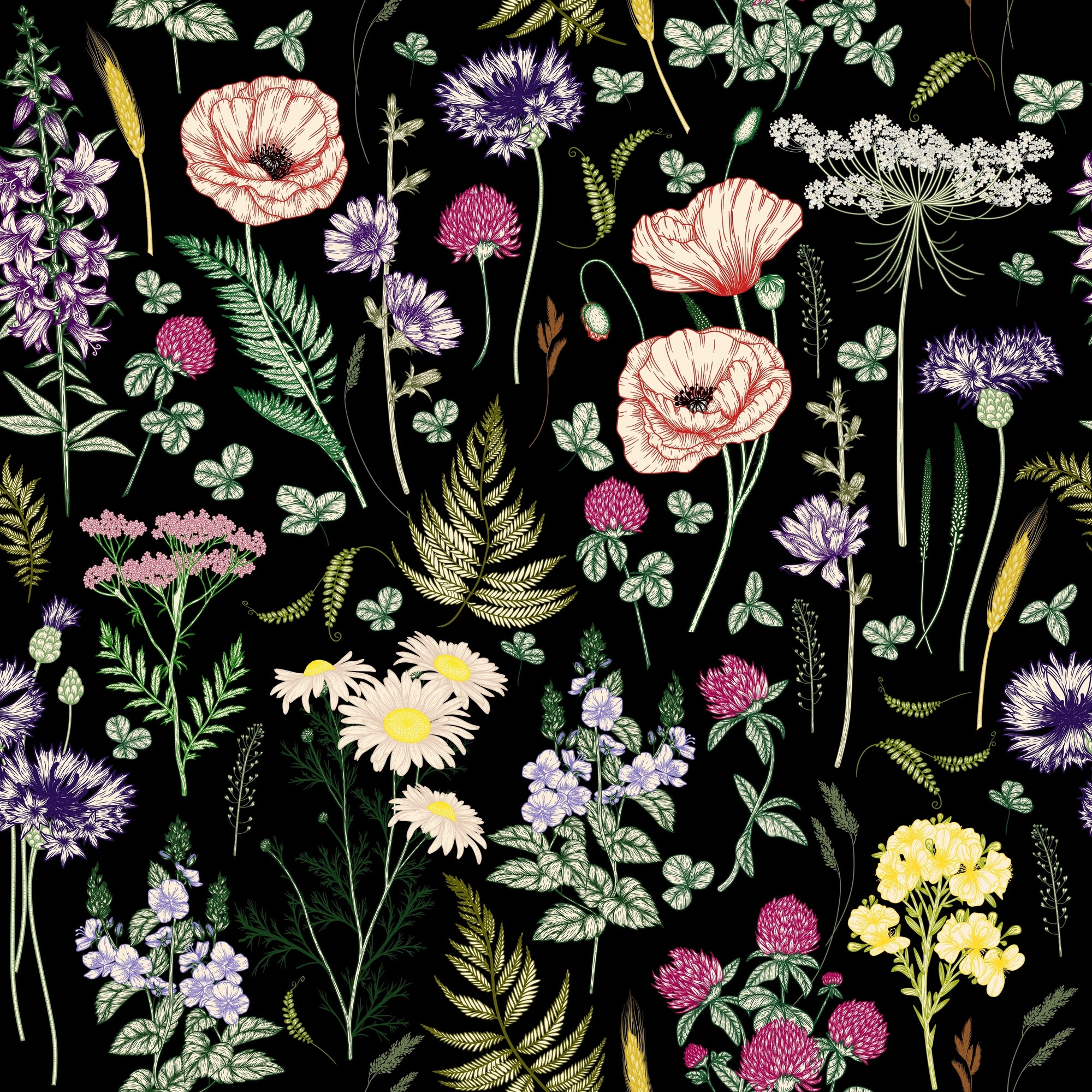 midnight meadow wallpaper, premium peel & stick, sample 12 inchesx12 inches, floral; black, wallpaper decor