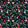 Wild Zerina Wallpaper