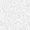 Zebra Leaf Wallpaper