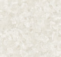 Ivory Plaster Wallpaper