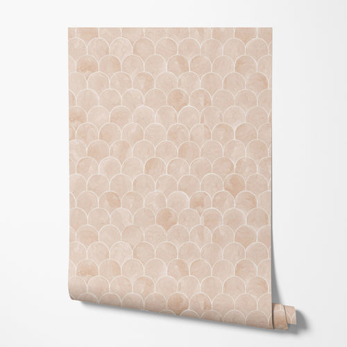 Blush Scallop Wallpaper