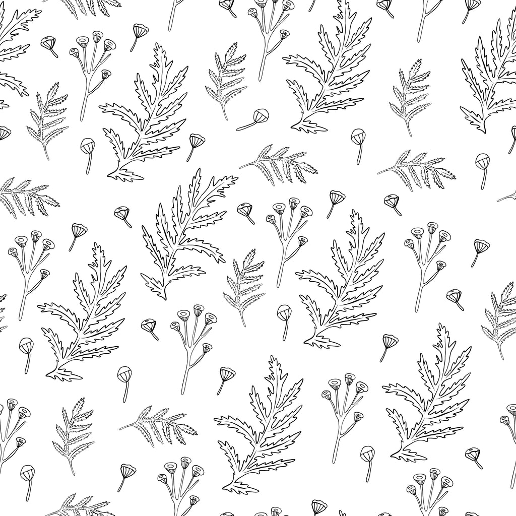 Fern Linework Wallpaper