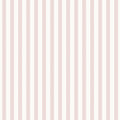 Pink Stripe Wallpaper