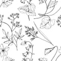 Botanical Sketch Wallpaper