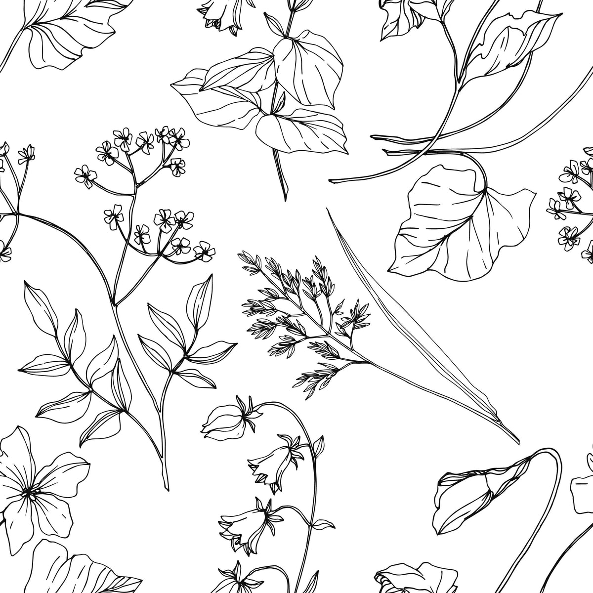 Botanical Sketch Wallpaper