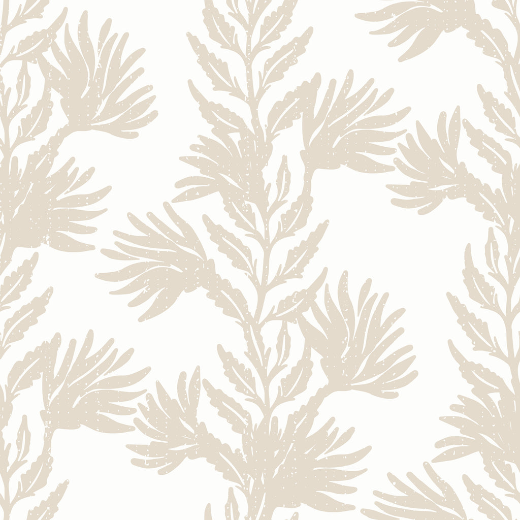 Sandy Kelp Wallpaper