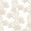 Sandy Kelp Wallpaper