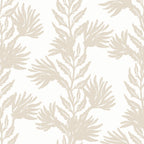 Sandy Kelp Wallpaper