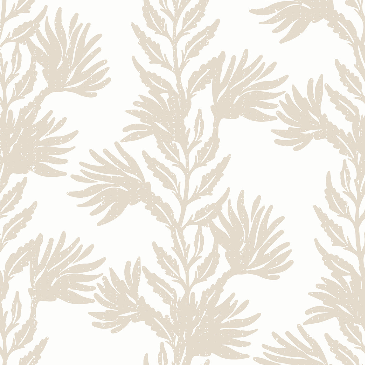 Sandy Kelp Wallpaper