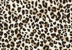 Classic Leopard Wallpaper