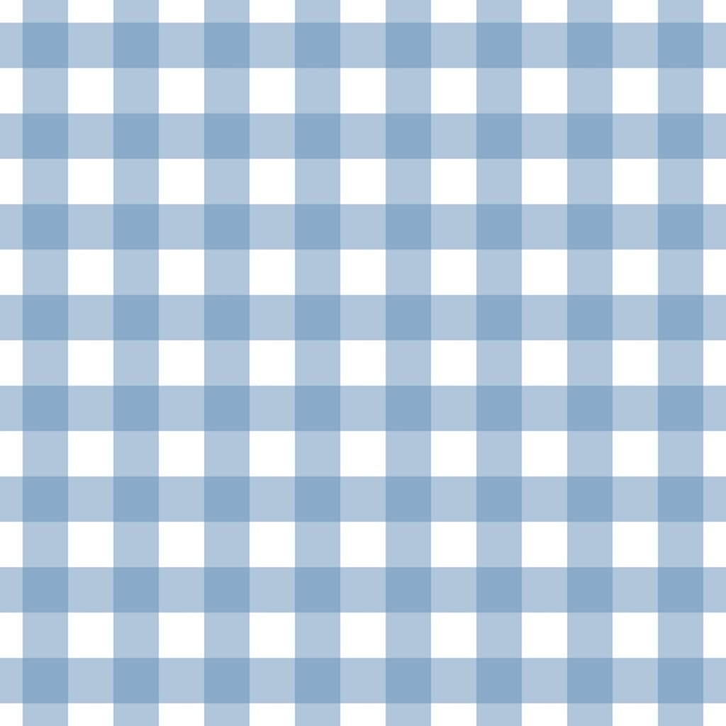 WP538 Blue Gingham Wallpaper flat pattern design