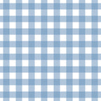 WP538 Blue Gingham Wallpaper flat pattern design