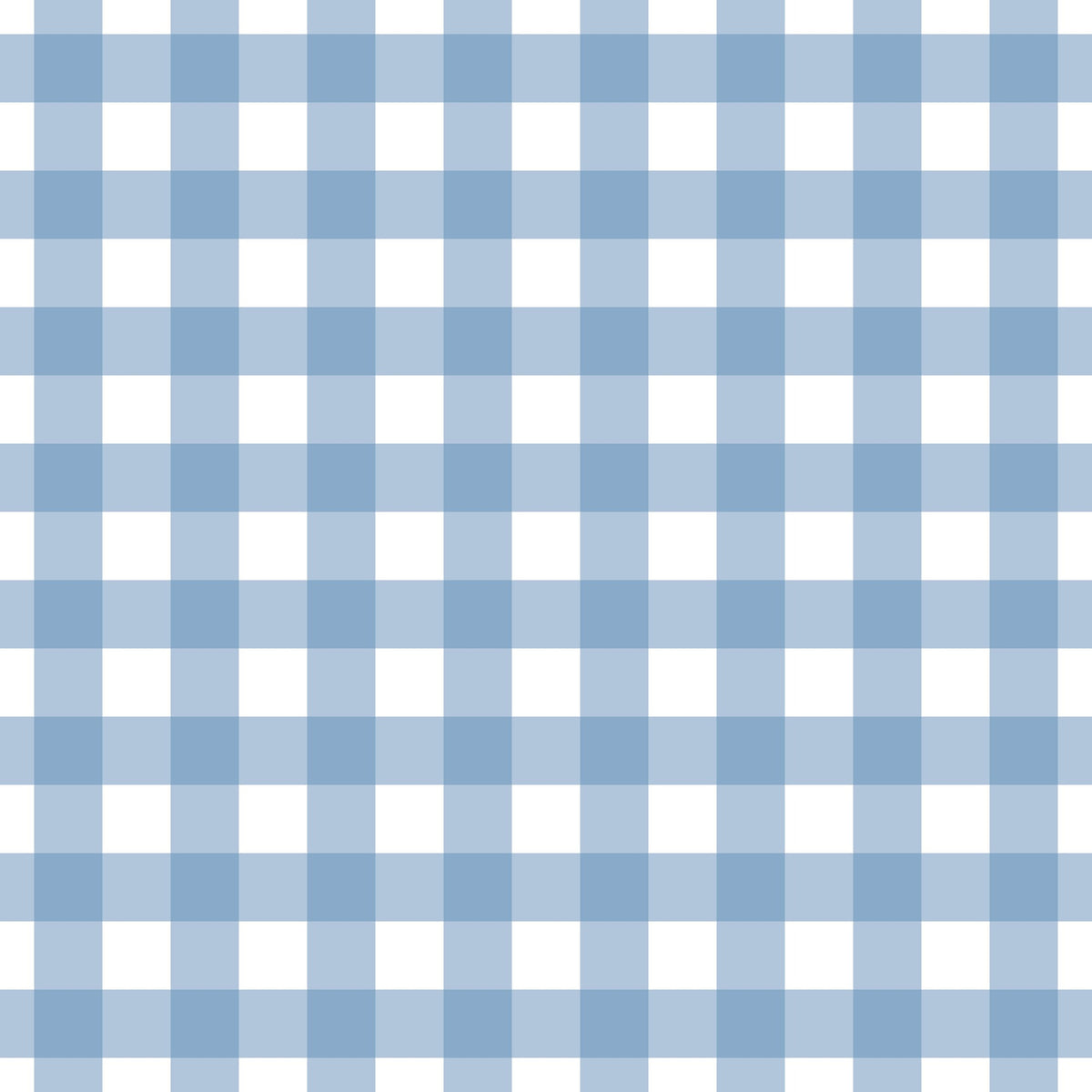 WP538 Blue Gingham Wallpaper flat pattern design